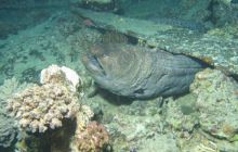 Safari wraki - październik 2007