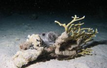 Safari wraki - październik 2007