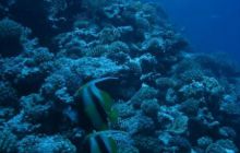 Safari wraki - październik 2007