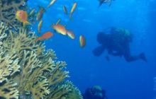 Safari wraki - październik 2007