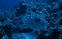 Safari wraki - październik 2007