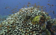 Safari wraki - październik 2007