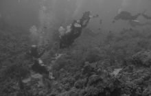 Safari wraki - październik 2007