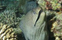 Safari wraki - październik 2007