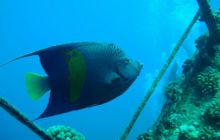 Safari wraki - październik 2007