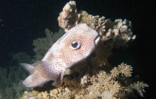 Safari wraki - październik 2007