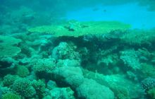 Safari wraki - październik 2007