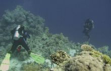 Safari wraki - październik 2007