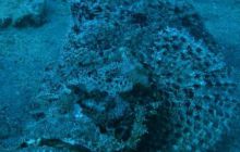 Safari wraki - październik 2007