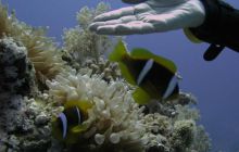 Safari wraki - październik 2007