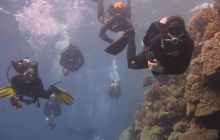 Safari wraki - październik 2007