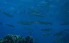 Safari wraki - październik 2007