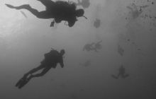 Safari wraki - październik 2007