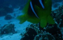 Sharm - październik 2007