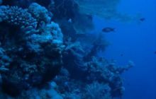 Sharm - październik 2007