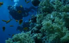 Sharm - październik 2007