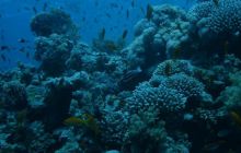 Sharm - październik 2007