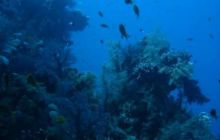 Sharm - październik 2007