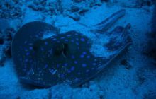 Sharm - październik 2007