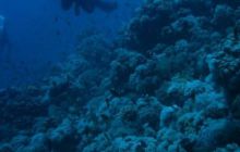 Sharm - październik 2007