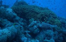 Sharm - październik 2007