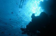 Sharm - październik 2007