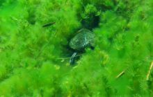 Meksyk, Belize, Gwatemala - marzec 2008