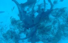 Meksyk, Belize, Gwatemala - marzec 2008