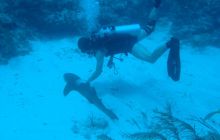 Meksyk, Belize, Gwatemala - marzec 2008