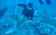 Meksyk, Belize, Gwatemala - marzec 2008