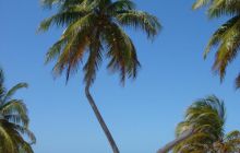 Meksyk, Belize, Gwatemala - marzec 2008