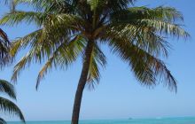 Meksyk, Belize, Gwatemala - marzec 2008