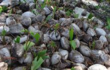 Meksyk, Belize, Gwatemala - marzec 2008