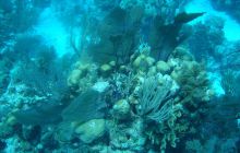 Meksyk, Belize, Gwatemala - marzec 2008