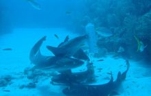 Meksyk, Belize, Gwatemala - marzec 2008