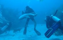 Meksyk, Belize, Gwatemala - marzec 2008