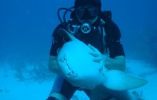 Meksyk, Belize, Gwatemala - marzec 2008