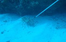 Meksyk, Belize, Gwatemala - marzec 2008