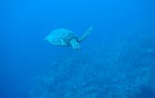 Meksyk, Belize, Gwatemala - marzec 2008