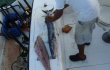 Meksyk, Belize, Gwatemala - marzec 2008