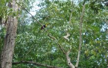 Meksyk, Belize, Gwatemala - marzec 2008