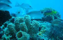 Meksyk, Belize, Gwatemala - marzec 2008