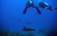 Meksyk, Belize, Gwatemala - marzec 2008