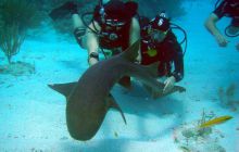 Meksyk, Belize, Gwatemala - marzec 2008