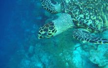 Meksyk, Belize, Gwatemala - marzec 2008