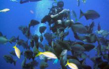 Meksyk, Belize, Gwatemala - marzec 2008