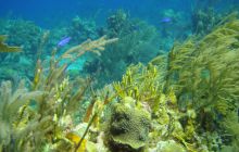 Meksyk, Belize, Gwatemala - marzec 2008