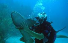 Meksyk, Belize, Gwatemala - marzec 2008