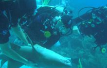 Meksyk, Belize, Gwatemala - marzec 2008