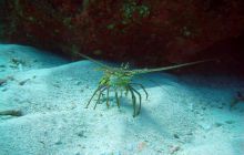 Meksyk, Belize, Gwatemala - marzec 2008